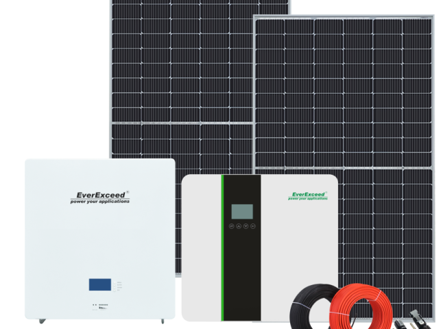 EverExceed Wall Mounted Lithium